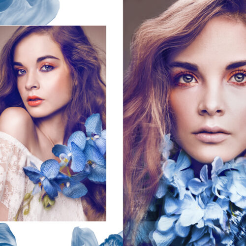 FULL BLOOM – ipressmagazine.com