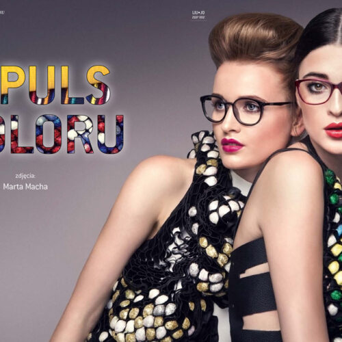 GLASSES PROJECT