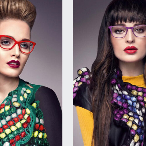 GLASSES PROJECT